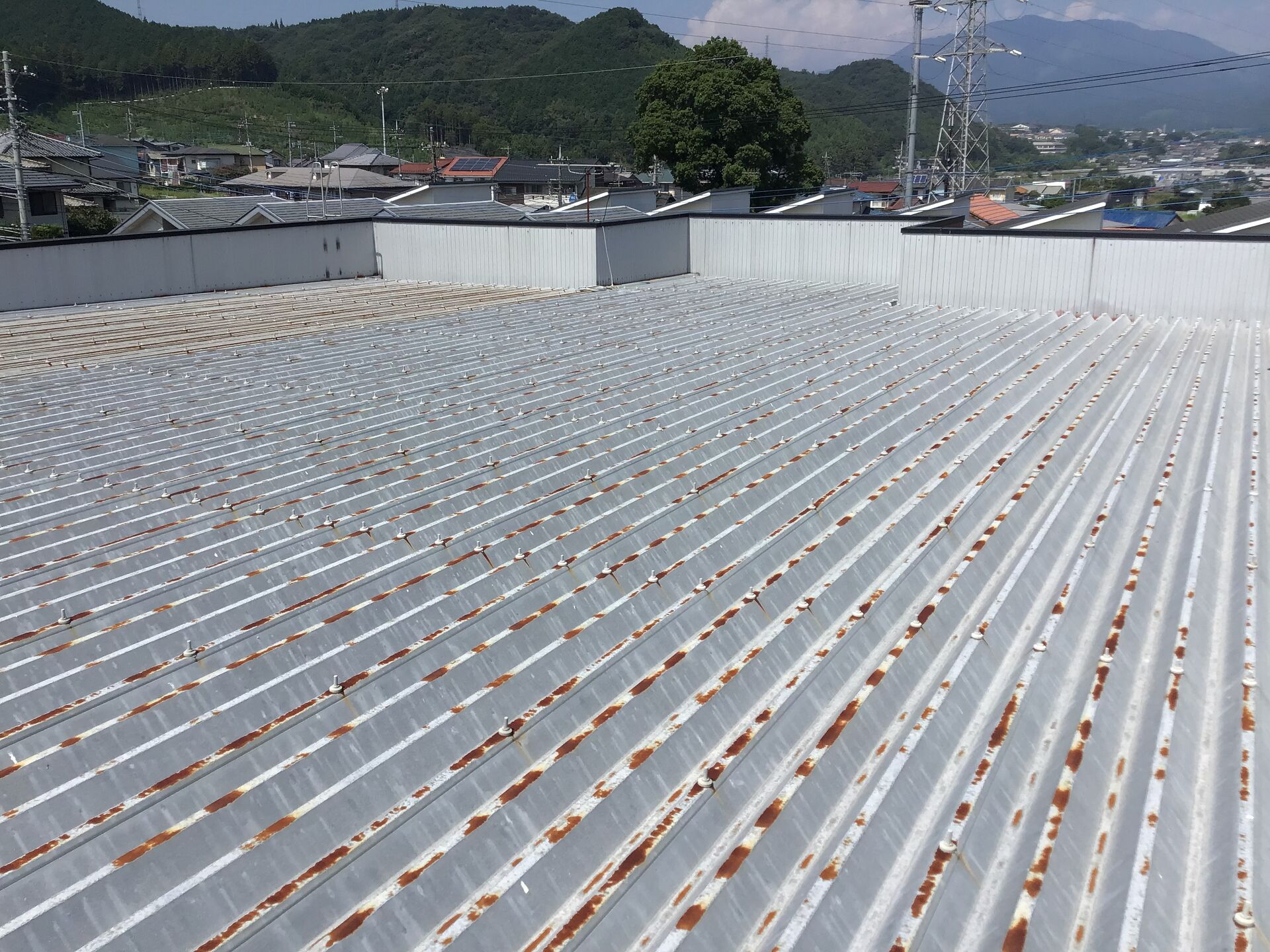 渋川市で、折板屋根からの漏水の現地調査を行いました